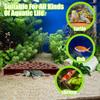 Aquarium Cave Decor Hiding House Shrimp & Fry Shelter for Breeding Safe Haven for Small Fish Tank