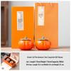 Persimmon Ceramic Tea Caddy Gift Set