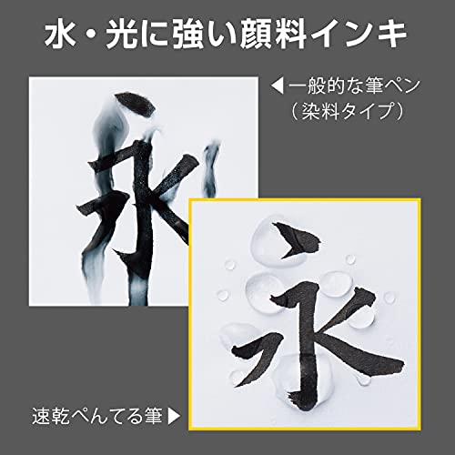 Pentel Brush Pen, Quick Drying, Medium Nib, 10 Pens, XFPD5L