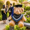 20cm Doctor Bear Doll Graduation Season Bear Animal Doll Graduation Bear  Birthday Present