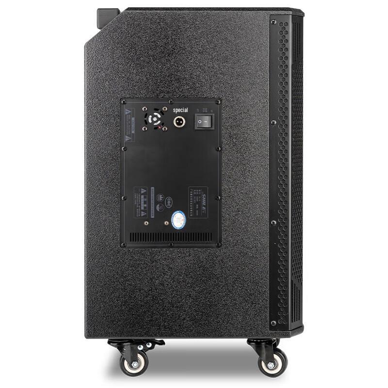 Shile 300W Outdoor Portable Karaoke Speaker