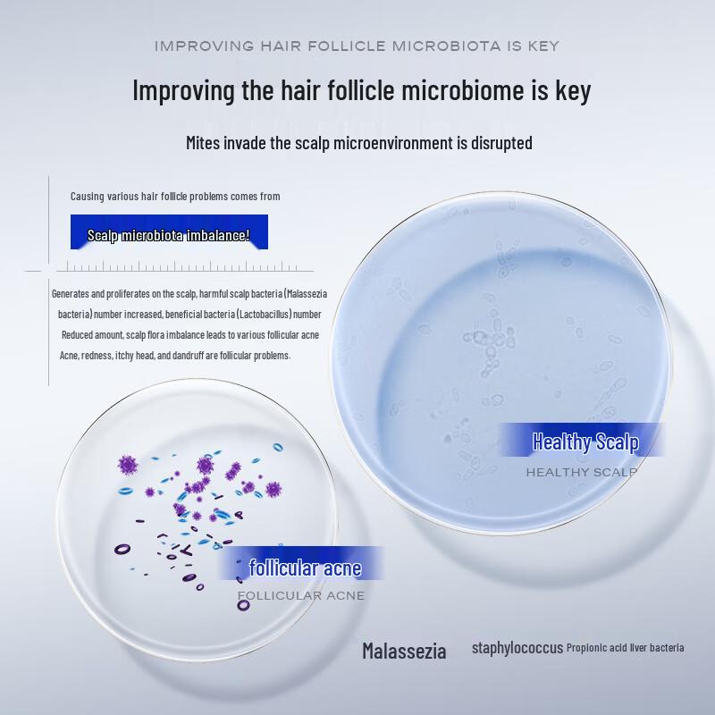 HURMEVKOR Follicle Purifying Anti-Dandruff Shampoo