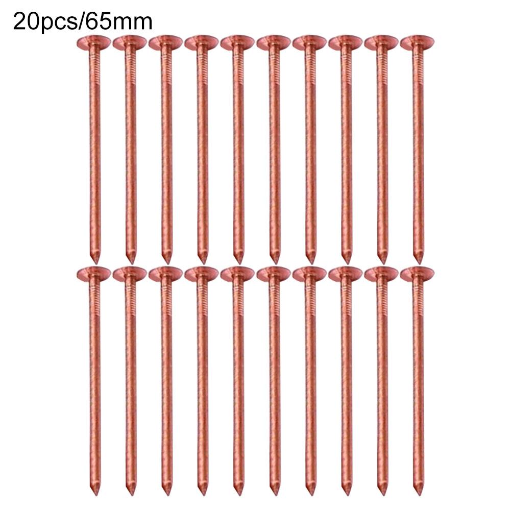 Effective Root Elimination Copper Tree Stump Killer Fast Acting Solution Large Sizes Available Non-Disturbing Method