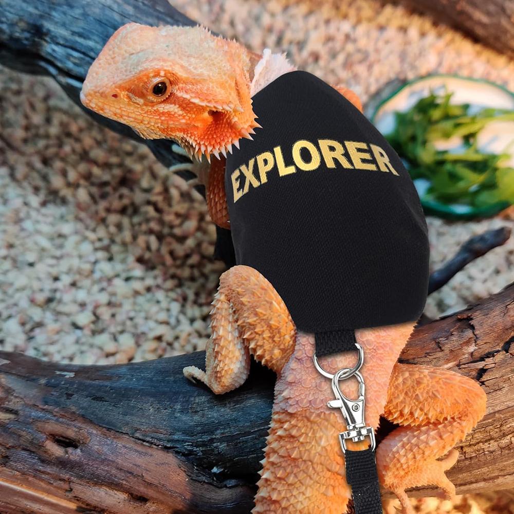 Justerbar Reptil Øgle Bånd Sele for Gåtur Utendørs