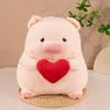 Super cute koi pig doll plush toy little girl cloth doll cute pig doll birthday gift