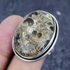 Turritella Fossil Gemstone 925 Sterling Silver Jewelry Ring Size 9