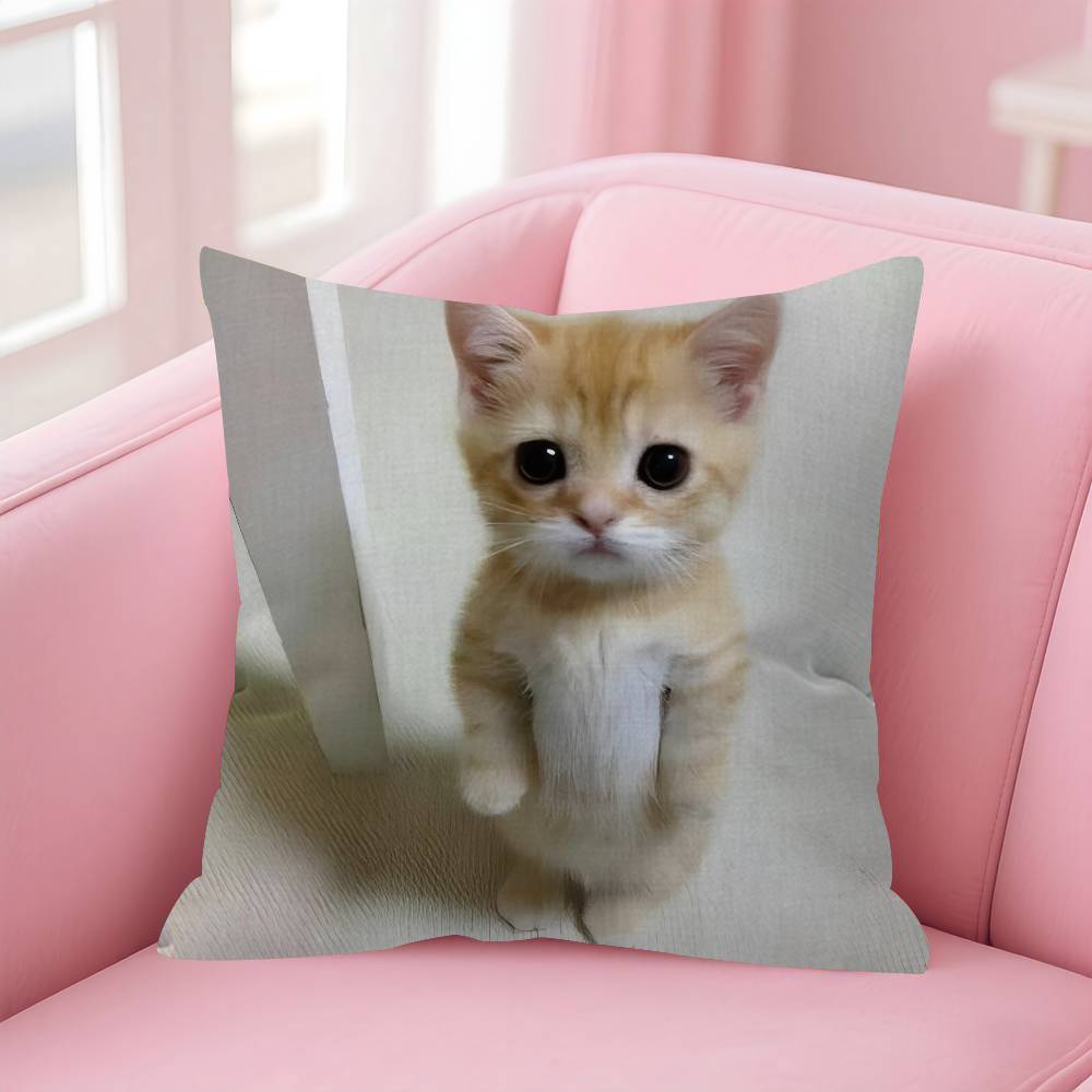 Funny Cat MMeme  Personalized Pillow Cover Kids Bedroom Wild Party Decor Pillowcase Kid Birthday Shower Gift