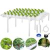 AC 220V 54 Holes Hydroponic Piping Site Grow Kit Deep Water Culture Planting Box Gardening System Nursery Pot Hydroponic Rack