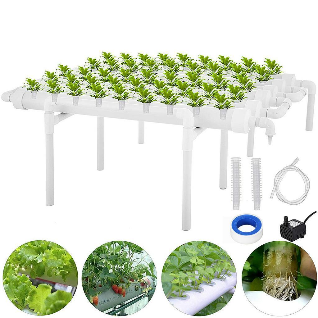 AC 220V 54 Holes Hydroponic Piping Site Grow Kit Deep Water Culture Planting Box Gardening System Nursery Pot Hydroponic Rack