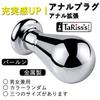 Anal Plug Balloon Metal Random Color L 62mmx113mm TaRiss's
