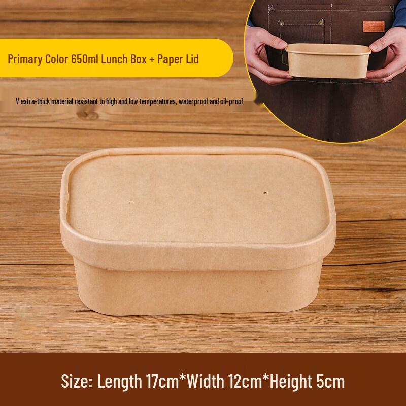 Disposable Rectangular Picnic Lunch Box