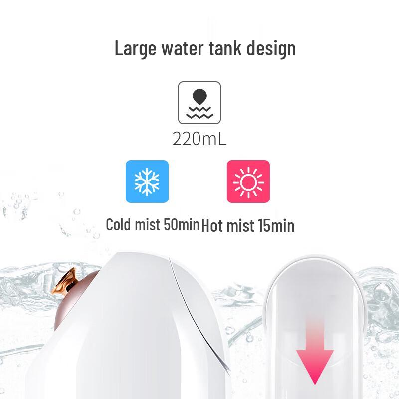 MKS Nano Cold & Hot Dual Spray Facial Steamer