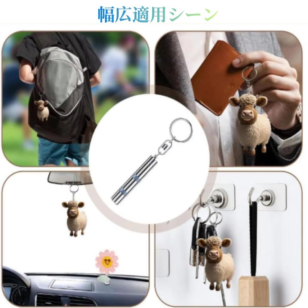 [YFFSFDC] Static Electricity Removal 2-stage Keychain Removal System for Cars