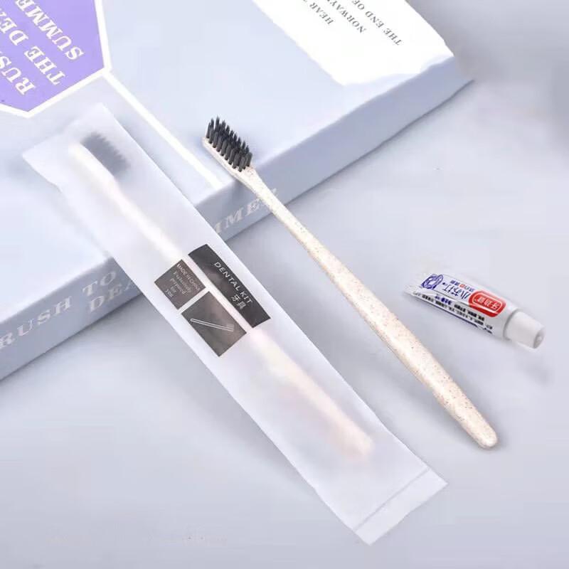 Ntoge Disposable Hotel Toothbrush & Toothpaste Set