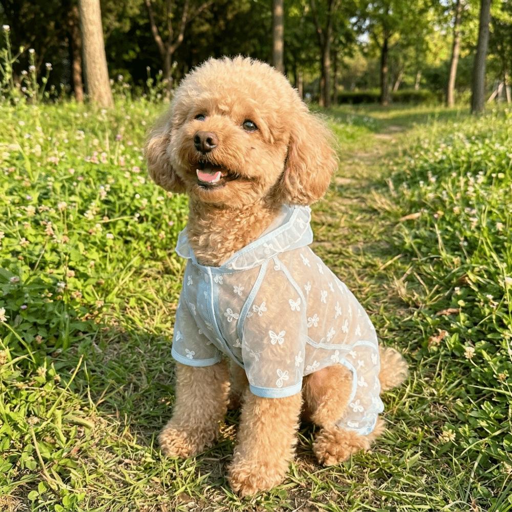 Thin Breathable Dog Sunscreen Clothes Butterfly Pattern Dog Cooling Jumpsuit  Summer Season