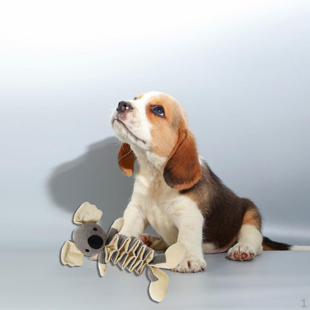 Cute Dog Toys, Squeaky Toys for Dogs, Interactive Small, Medium, Large Dogs Reducing Boredom Koala