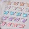 40pcs/bag Double Layer Butterfly Nail Art Decorations ResinNail Art Rhinestones For 3D Manicure DIY Fashion Manicure Tools