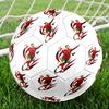 Ronaldo's Number Seven Jersey Soccer Ball Size 5 Football Machine Sewn Outdoor Universal Football Unique Gift for Soccer Lovers