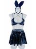 Women's Rave Outfit Set Sexy Metallic Latex Shiny Chain Top PU Leather Mini Skirt Thong Music Festival Bunny Costume 4-Piece Cat