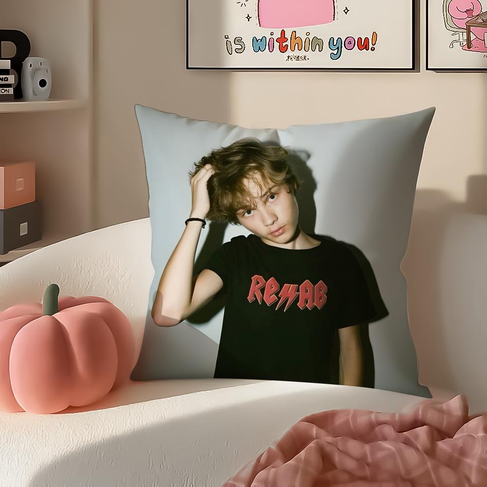 Creative Trendy Norwegian Art NNettspend Cushion Cover Pillowcase Short Plush Invisible zipper Room Sofa Cushion Cover