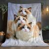 Couverture Personnalisée pour Chat Trois Chats Ragdoll Portrait Empilé Design Nom Personnalisé Plaid Polaire Toutes Saisons Doux Chaud Literie Maison