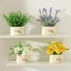 Kapa Bear Artificial Eucalyptus Potted Plant