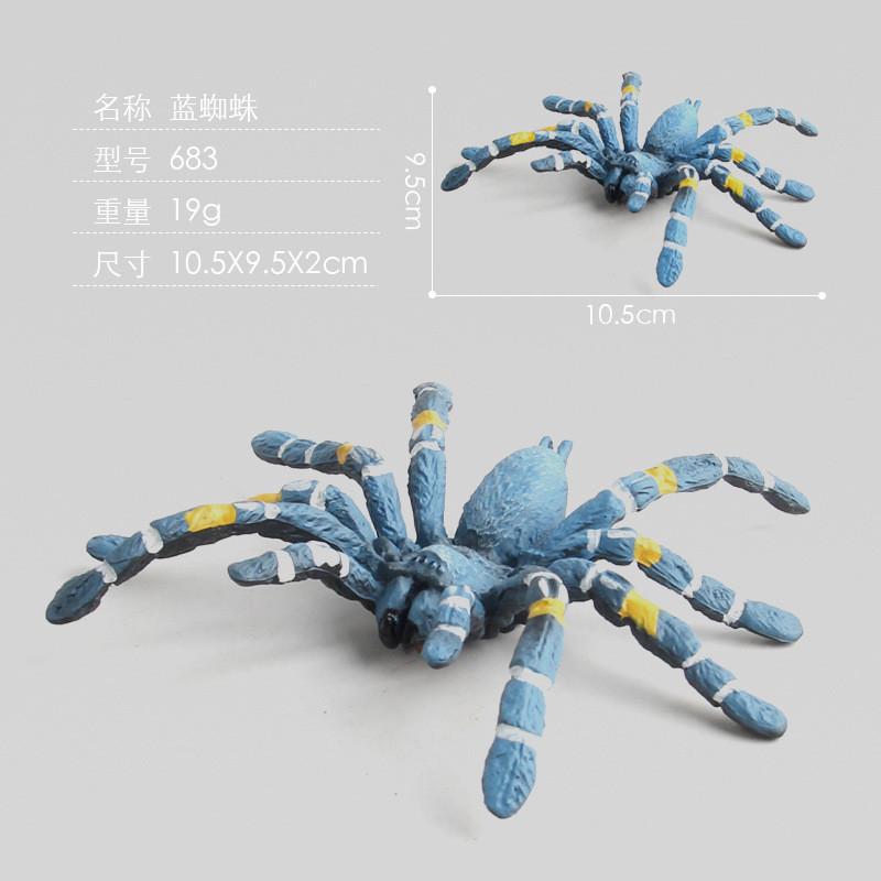 Stunningly Detailed Plastic Insect Models Including Vibrant Peacock Spiders And Striped Fly Spiders Perfect For Learning And Displaying
