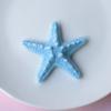 1 Set Perforatore a Conchiglia Marina Charms per Scarpe Fai da Te Oceano Pietra Lavica & Stelle Marine Clip per Scarpe per Decorazioni Sandali & Pantofole Estivi
