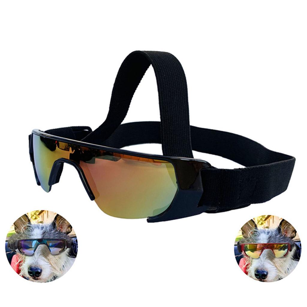 Pet Sunglasses Protections for Small Dogs for Northern Area with Adjustable Strap for Outdoor Sports