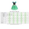 Dressy Daisy Kids' Birthday Snow Princess Green Coronation Gown, Halloween and Christmas Costume for Ages 2-3, Includes Gloves, Heart Tiara, Magic Wan