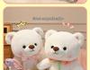 Heart-Shaped Plush Teddy Bear Doll - Soft, Cute, Healing Girly Gift