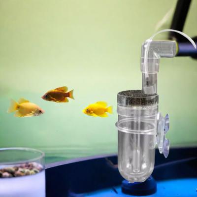 Incubadora de Huevos de Pez de Plástico de 60 MM Previene Hongos Simula Incubación Natural Criadero de Cíclidos Peces Ornamentales Montado en Pared