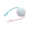 Wutu Sisal Ball Cat Toy Set