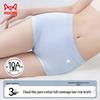 Women's Pure Cotton Antibacterial Boxer Briefs (3-Pack)