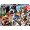 500 Piece Puzzle : Funny Selfie