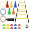 Agility Ladder Set: Speed Ladder, Footwork Training, Marker Cones, Resistance Band, Circle Steps