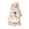 Sunlemon Lapine Netherland Dwarf Beige 17 x 12 x 16 cm Stuffed Animal Rabbit P-6422