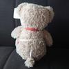 [USED] Mercedes-Benz Teddy Bear Plush Toy
