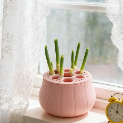 Countertop Scallion Planter Hydroponic Regrow Station with Detachable Lid Kitchen Regrowing Planter for Easy Scallion Regrowth