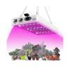 2000W LED Grow Light for Indoor Plants 312 LEDs Full Spectrum Veg and Bloom Dual Switch IP65 Waterpr Tw