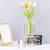 Decorative Floral Plants Container Nordic Hydroponic Vase with Glass Tube Stainless Steel Hanging Flower Vase Tabletop Ornaments