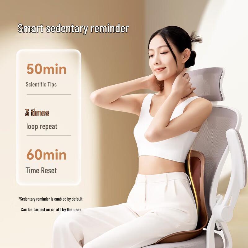 OGAWA Heated Lumbar Support Seat Massager