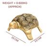 Pure Brass Turtle Idol, Vastu Statue For Home & Office, Religious Idol - 13 Cm