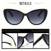 Cat's Eye Sungalsses Women Men Luxury Brand Designer Sun Glasses Ladies Elegant Graident Sexy Sun Glasses Eyewear UV400