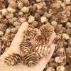 2-3cm Pinecone Dried Flowers for DIY Christmas Decorations and Ornaments