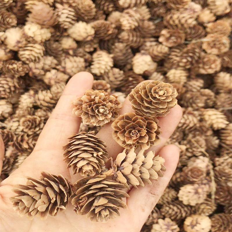 2-3cm Pinecone Dried Flowers for DIY Christmas Decorations and Ornaments