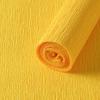 Carta Crespa Colorata per Confezionamento Fiori e Arte Floreale Fai-da-Te