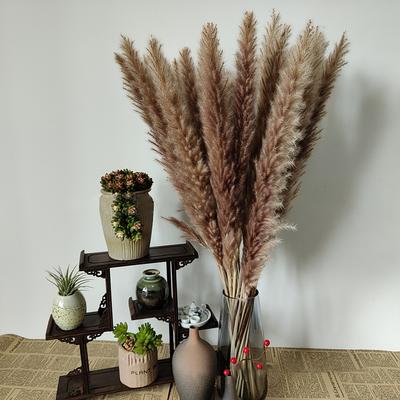 15pcs Mix Match Whisked Dried Bouquets Simple Elegant Decoration For Bedromm