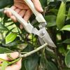 Multifunctional Stainless Steel Fruit Picking Shears Tree Pruning Shears Professional Bonsai Flower Grafting Gardening Scissors