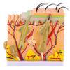 50-fach dreidimensionales menschliches Hautmodell, Anatomie, Biologie, Lehrmittel, Laborbedarf